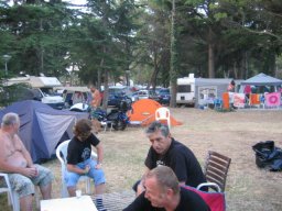 tigri v ankaranu 2012 048